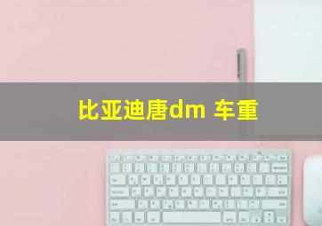 比亚迪唐dm 车重